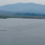 Sea&lake View Escape